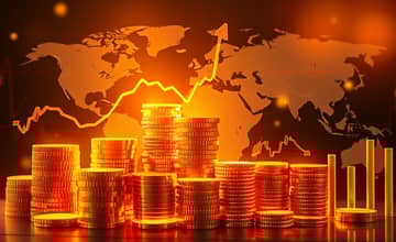 A Importância da Carteira de Ações: Mais que uma Coleção de Ativos