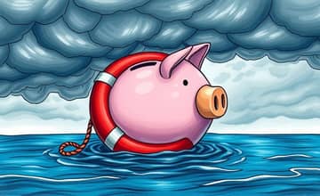 O Guia Definitivo para Entender e Utilizar Fundos de Emergência